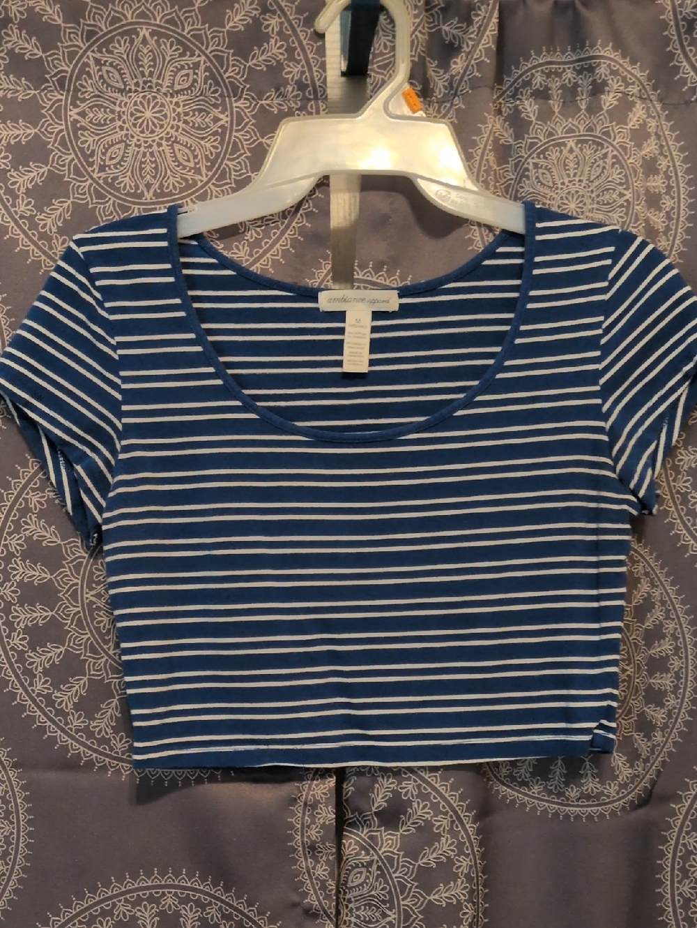Ambiance Blue and White Striped Scoop Crop Top